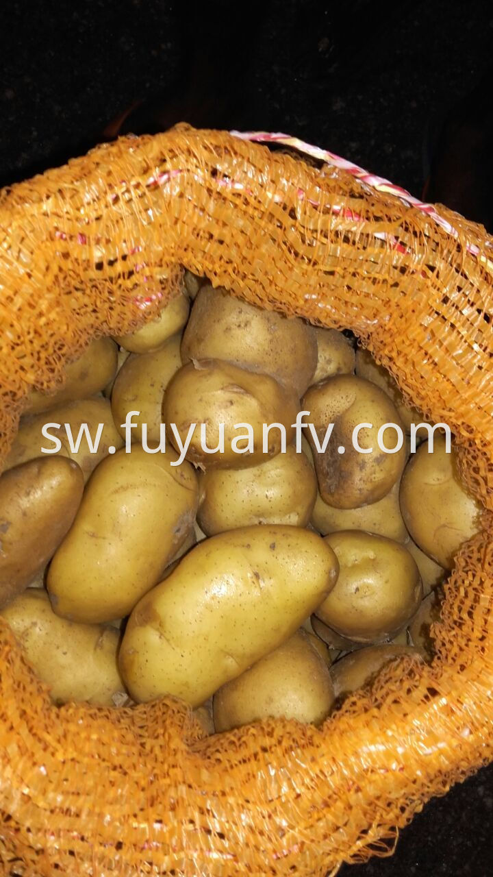 fresh potato 60-120g